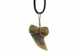 Fossil Mako Tooth Necklace - Bakersfield, California #95263-1